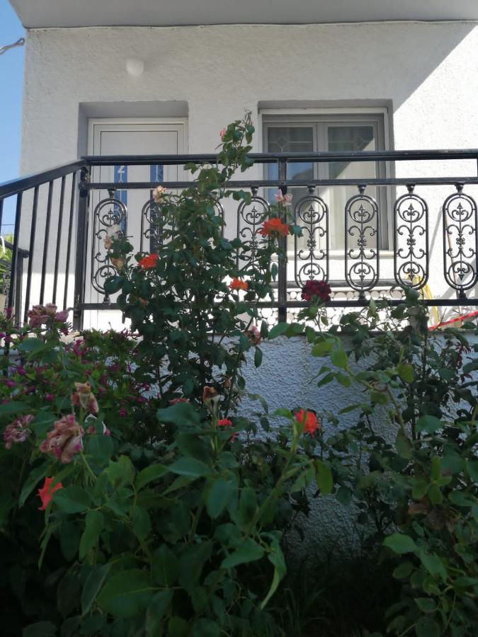 Alexander Apartments Nea Koutali Eksteriør bilde